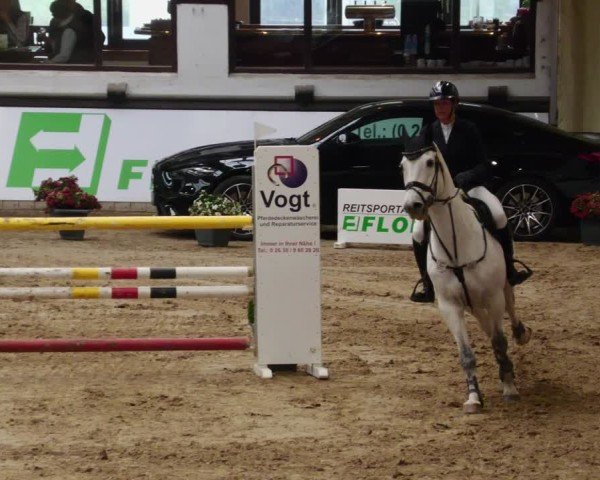 Reitturnier Neuwied 2024