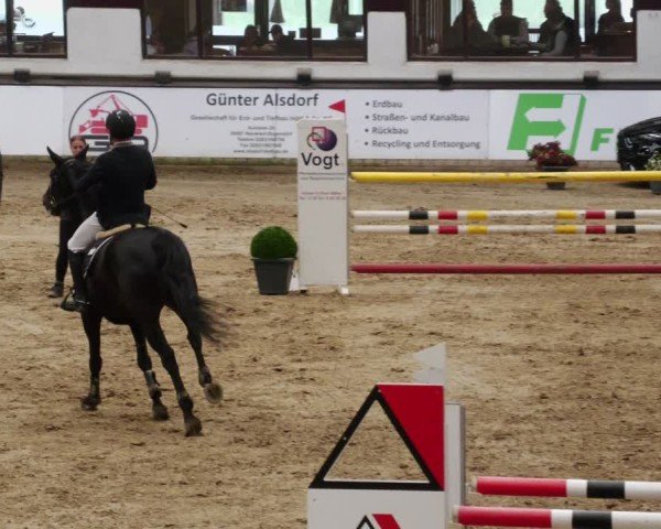 Reitturnier Neuwied 2024