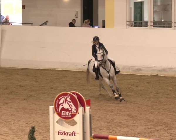 Reitturnier Stadl-Paura 2024