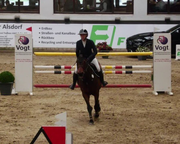 Reitturnier Neuwied 2024