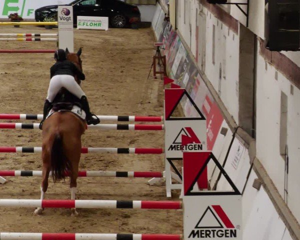 Reitturnier Neuwied 2024