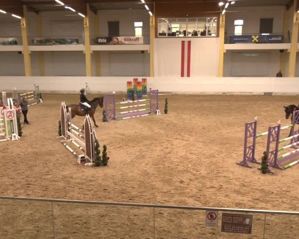 Reitturnier Stadl-Paura 2024