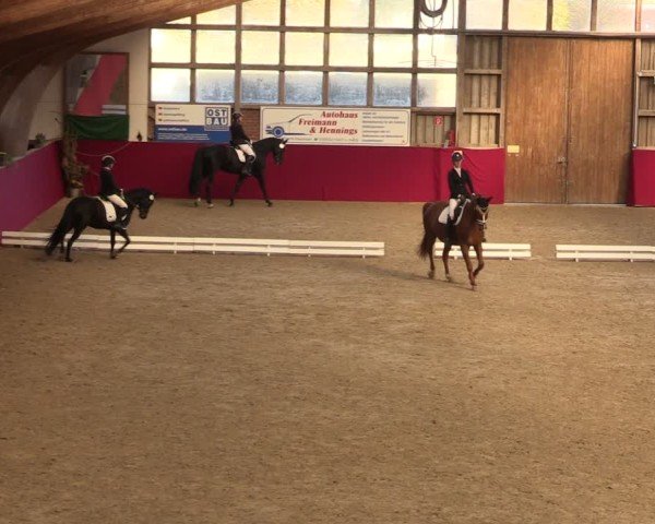 Reitturnier Krumke 2024