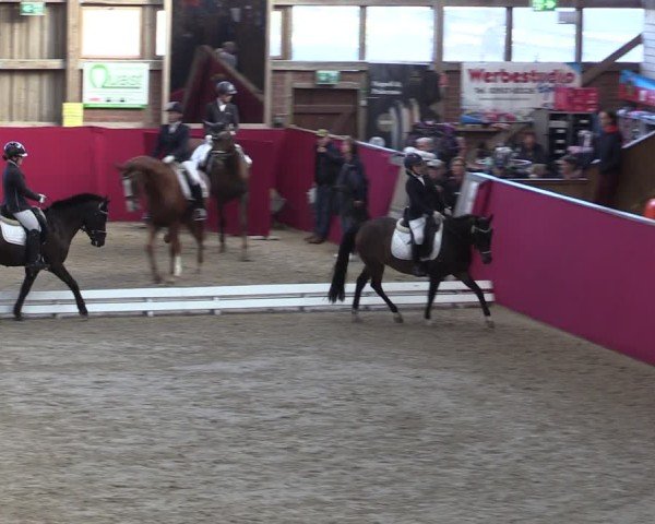 Reitturnier Krumke 2024