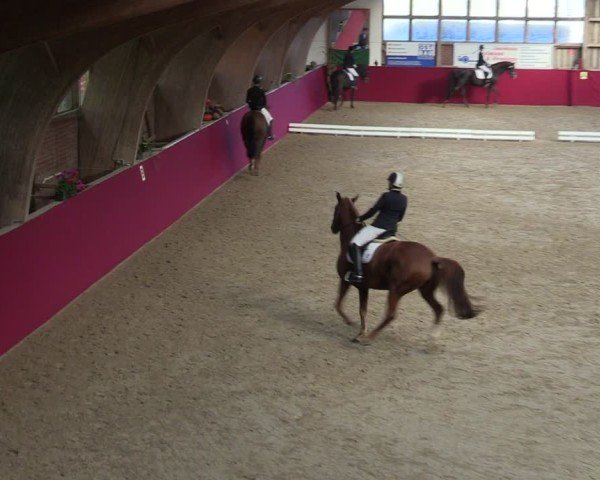 Reitturnier Krumke 2024