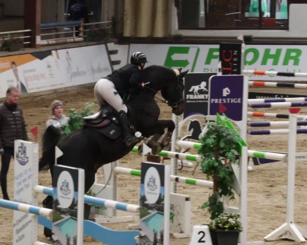 Reitturnier Neuwied 2024