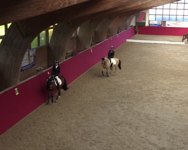 Reitturnier Krumke 2024