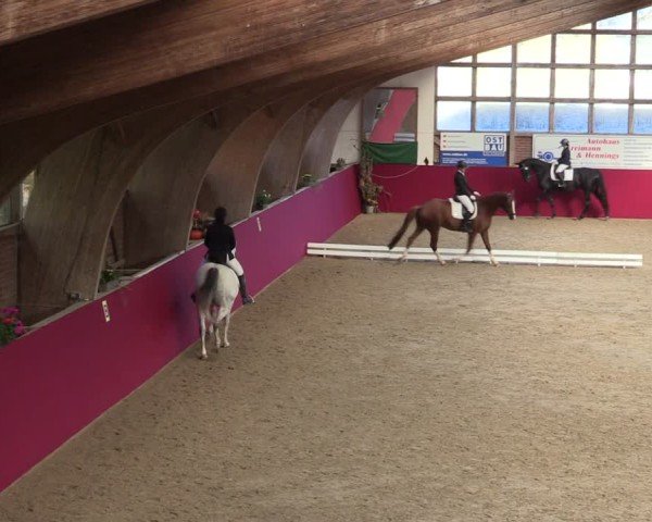 Reitturnier Krumke 2024