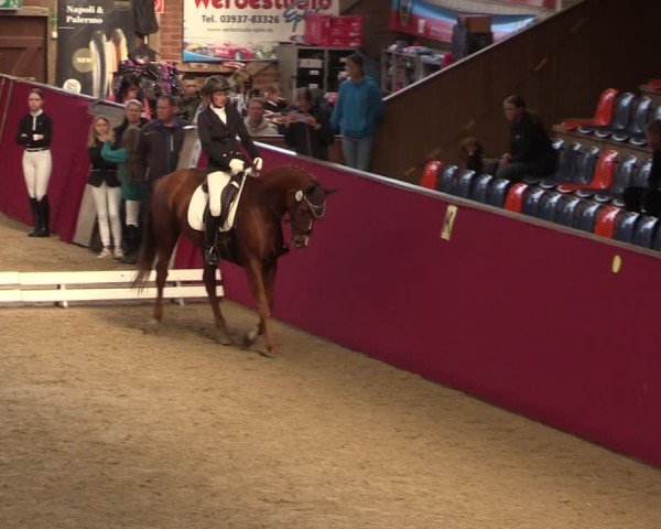 Reitturnier Krumke 2024