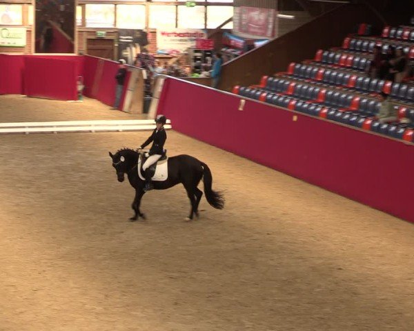 Reitturnier Krumke 2024