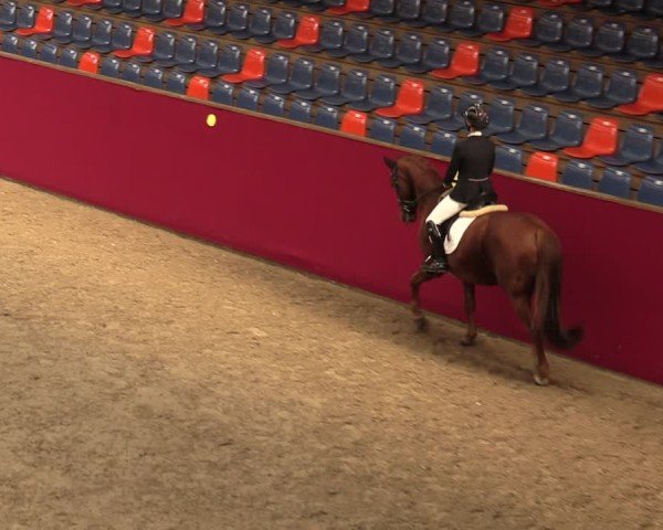 Reitturnier Krumke 2024