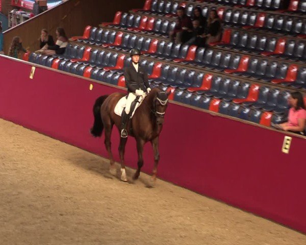 Reitturnier Krumke 2024