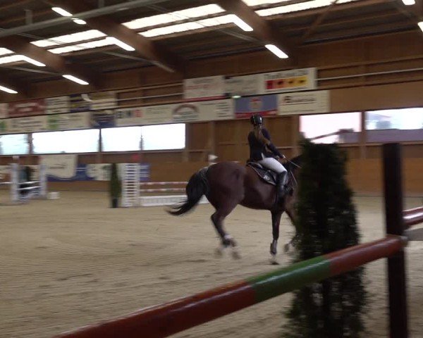 Reitturnier Holziken 2024