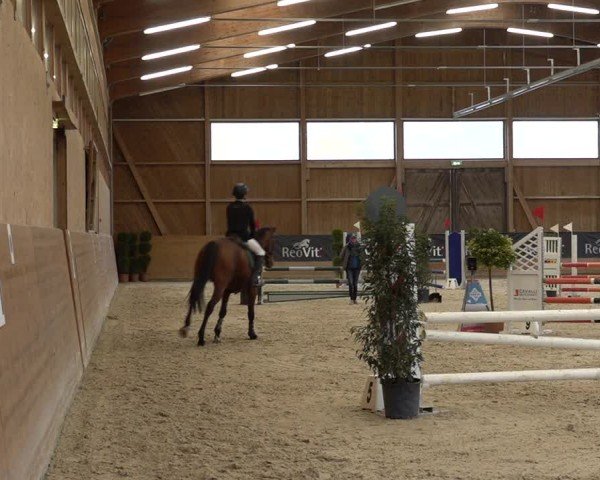 Reitturnier Holziken 2024