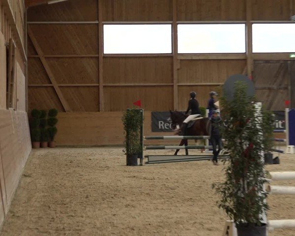 Reitturnier Holziken 2024