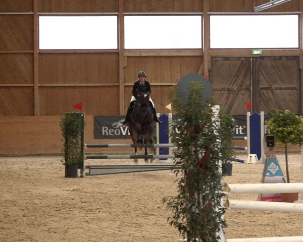 Reitturnier Holziken 2024