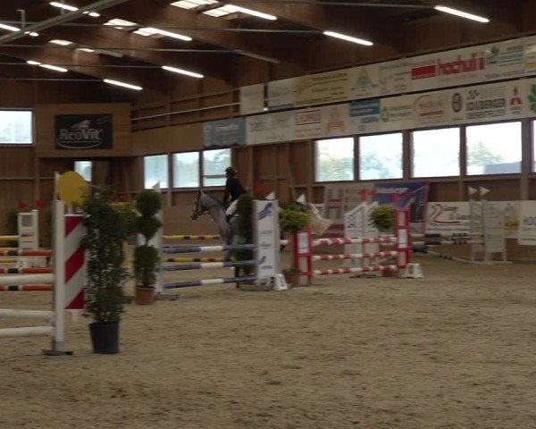 Reitturnier Holziken 2024