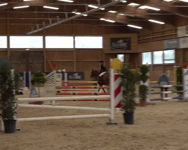 Reitturnier Holziken 2024