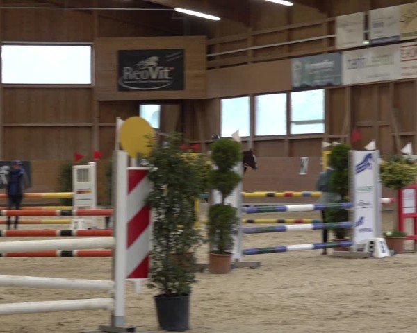 Reitturnier Holziken 2024