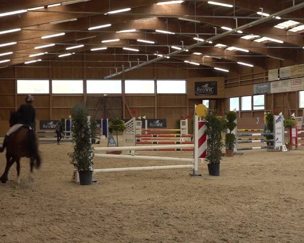 Reitturnier Holziken 2024
