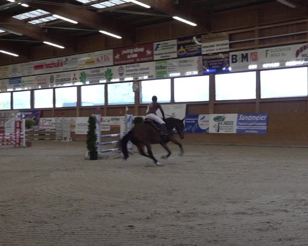 Reitturnier Holziken 2024
