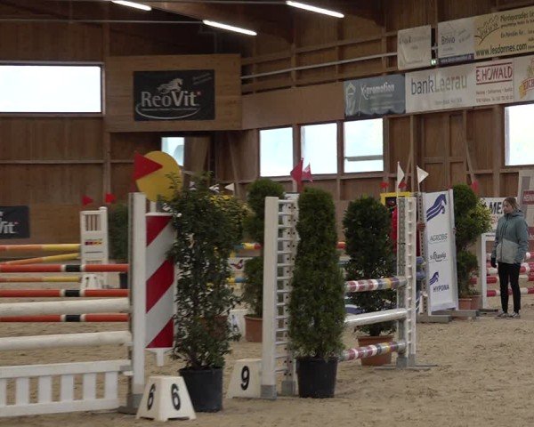 Reitturnier Holziken 2024