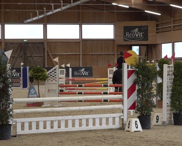 Reitturnier Holziken 2024