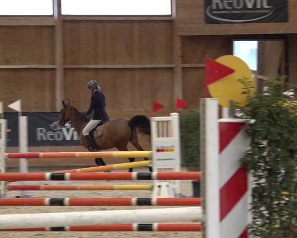Reitturnier Holziken 2024