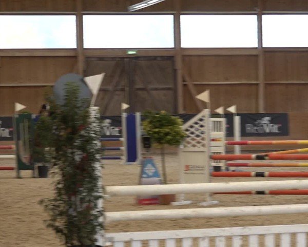 Reitturnier Holziken 2024