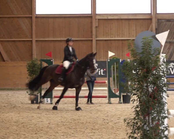 Reitturnier Holziken 2024