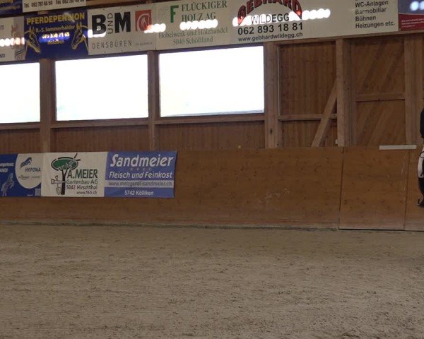 Reitturnier Holziken 2024