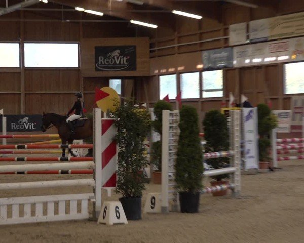 Reitturnier Holziken 2024