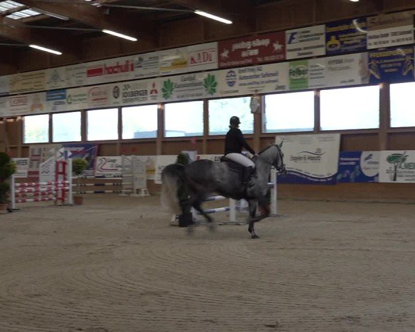 Reitturnier Holziken 2024