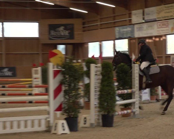 Reitturnier Holziken 2024