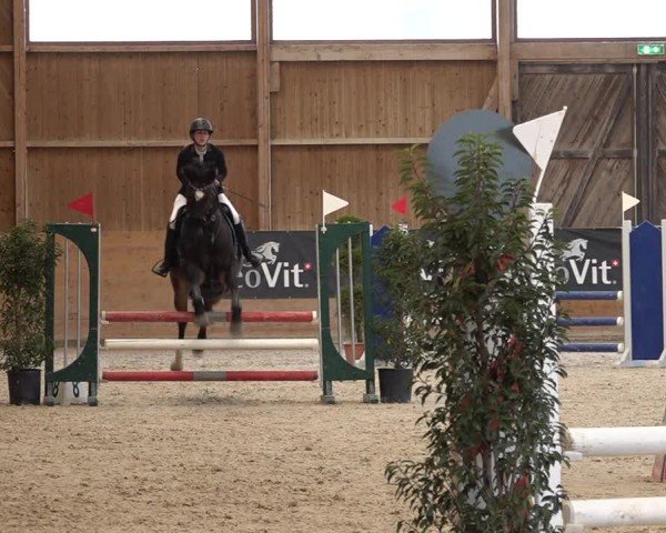 Reitturnier Holziken 2024