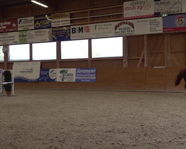 Reitturnier Holziken 2024