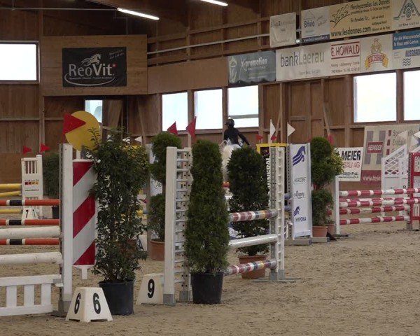 Reitturnier Holziken 2024
