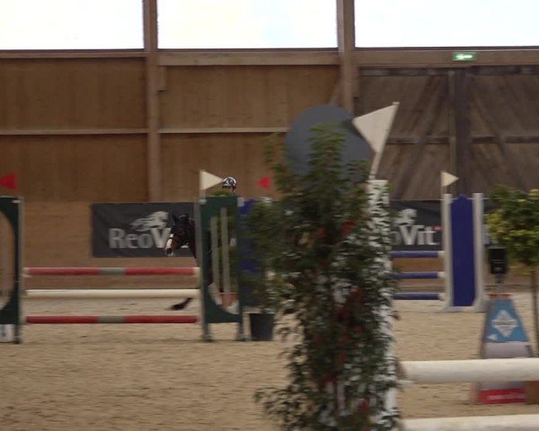 Reitturnier Holziken 2024