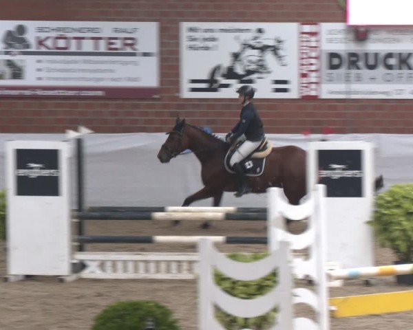 Reitturnier Gronau 2024
