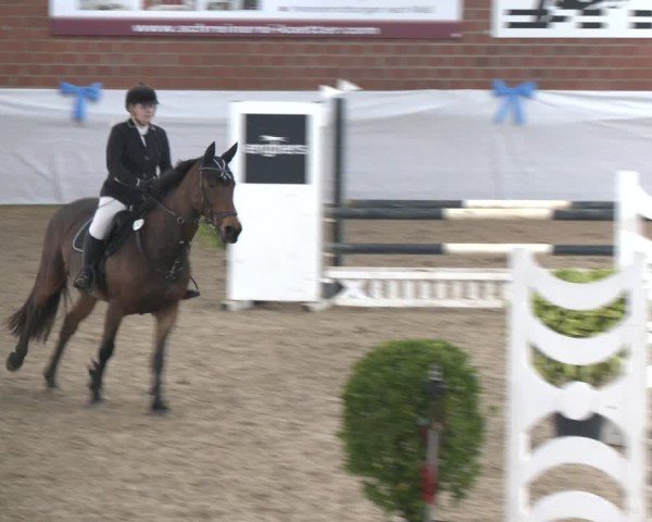 Reitturnier Gronau 2024
