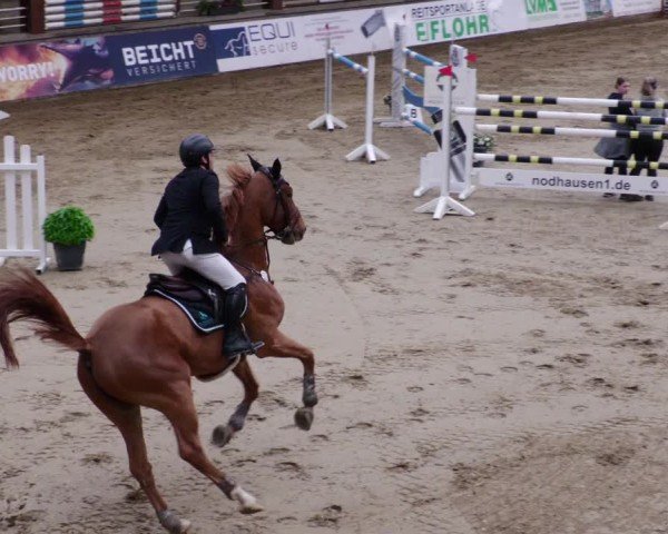 Reitturnier Neuwied 2024