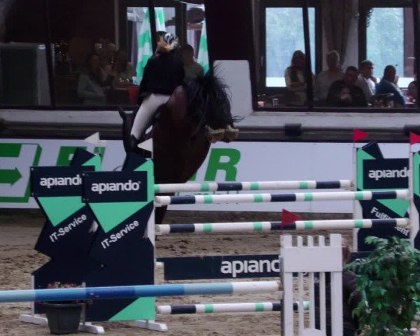 Reitturnier Neuwied 2024