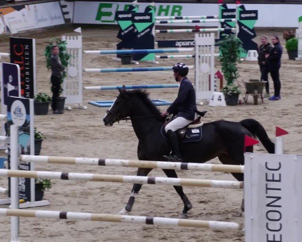 Reitturnier Neuwied 2024