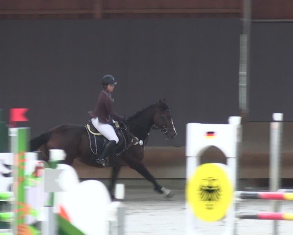 Reitturnier Tremsdorf, Eichenhof 2024