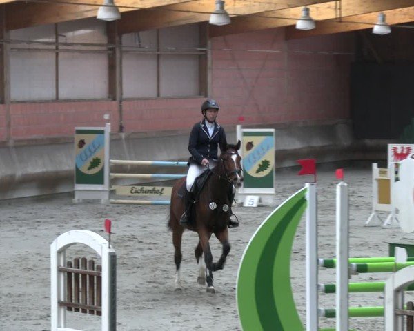 Reitturnier Tremsdorf, Eichenhof 2024