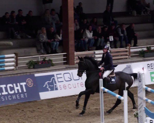 Reitturnier Neuwied 2024