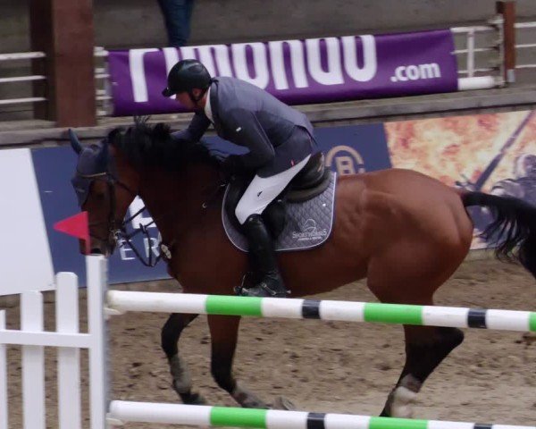 Reitturnier Neuwied 2024