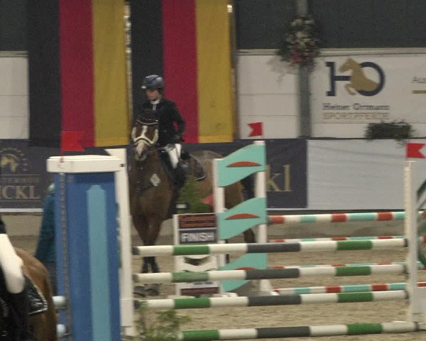 Reitturnier Karlsfeld/Obb. 2021