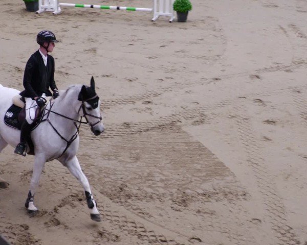 Reitturnier Neuwied 2024