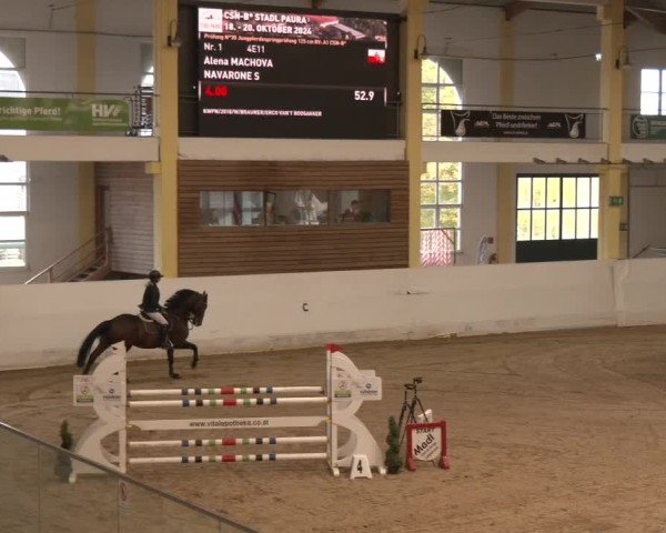 Reitturnier Stadl-Paura 2024